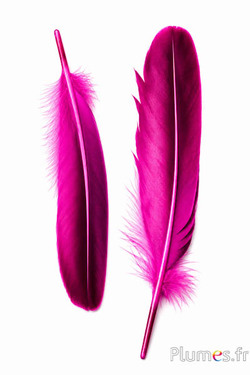 Anatra - 18-20 cm, sinistra e destra - fucsia-nero